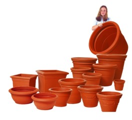 Cotta Pot
